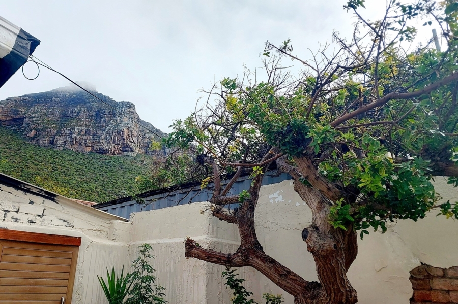 Commercial Property for Sale in Muizenberg Western Cape